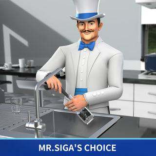 MR.SIGA Flaschenbürste mit langem Griff